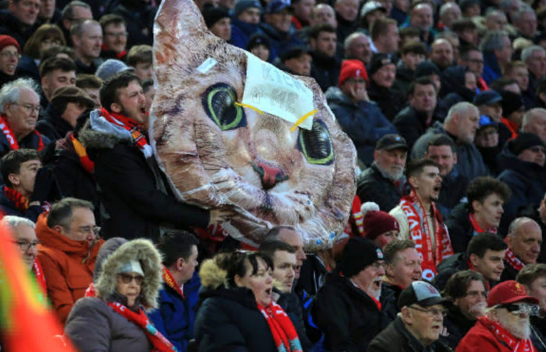 «Жизни кошек важны». Баннер в адрес Зума пролетел над полем во время игры с «Ливерпулем»