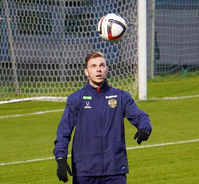 Оптимальный состав сборной России Оптимальный состав сборной России