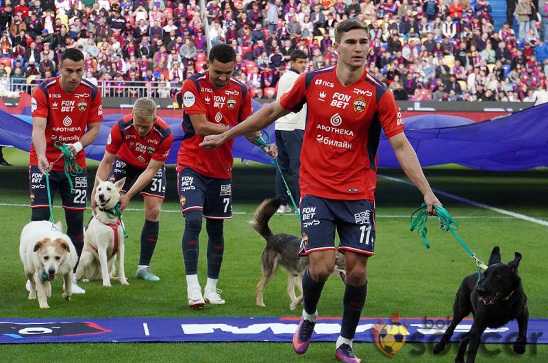 Алвес — о матче ЦСКА с «Краснодаром»: это как драка больших собак, все хотят быть наверху