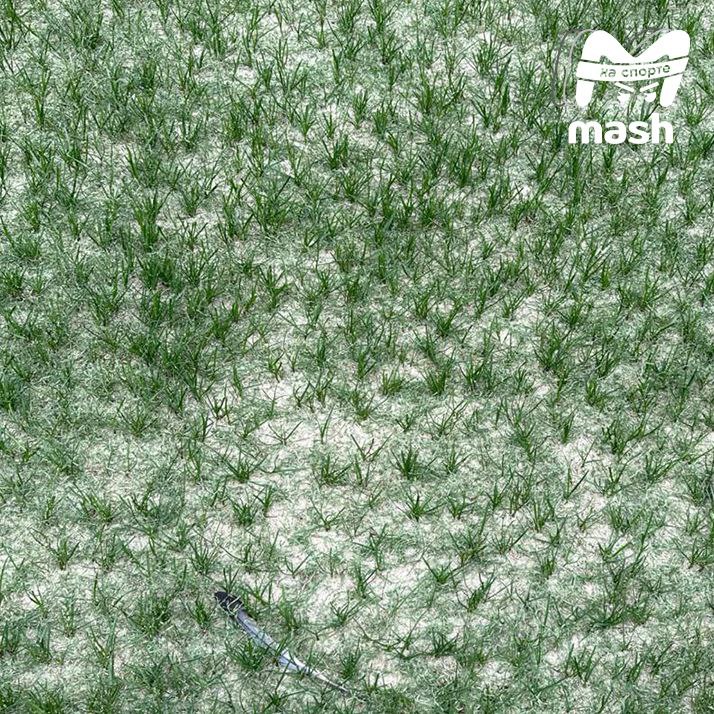 Стало известно, как выглядит поле, на котором сыграют Сочи и Спартак Стало известно, как выглядит поле, на котором сыграют Сочи и Спартак